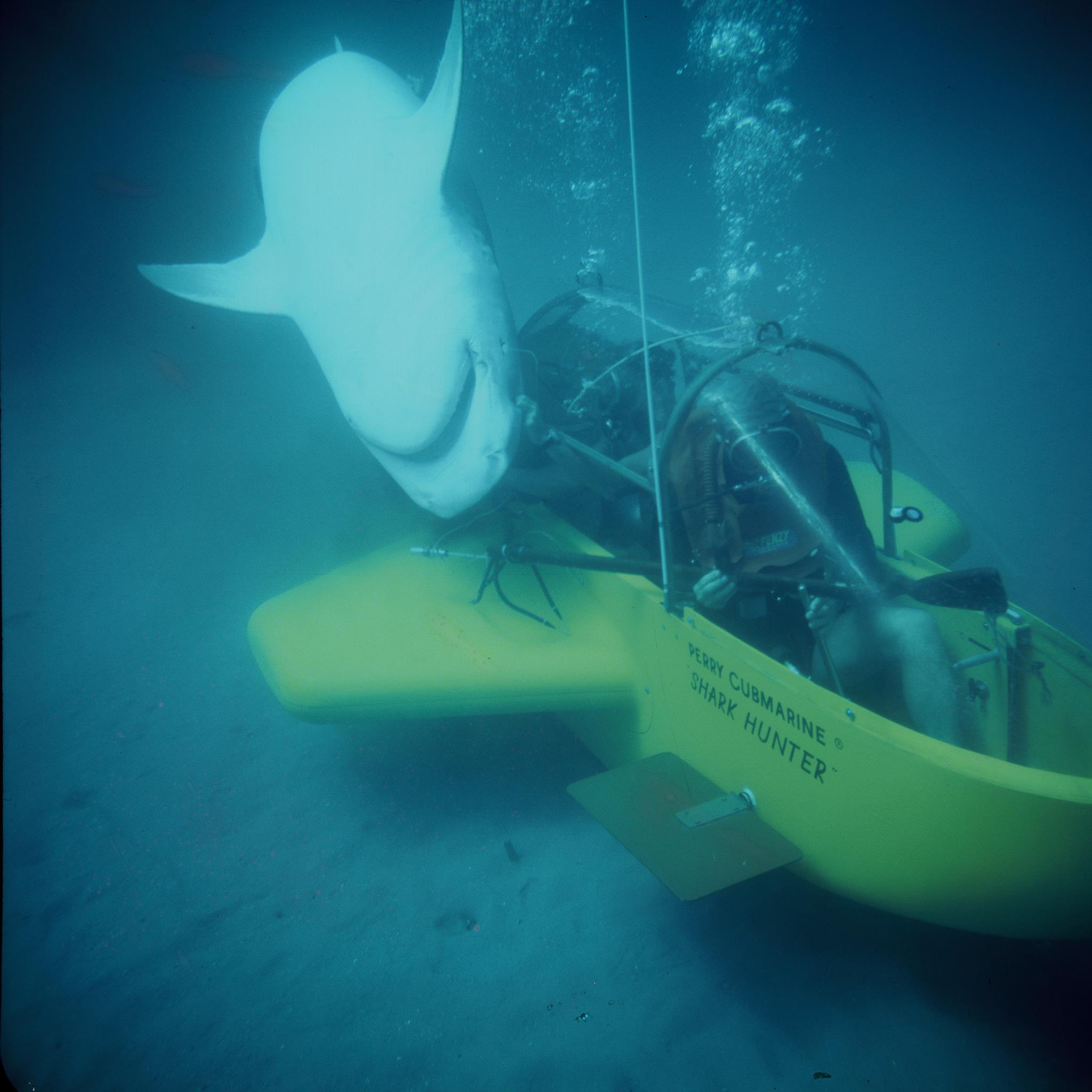 Shark Hunter 2